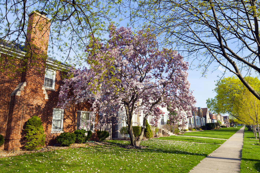 Spring in suburbs